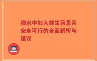 猫水中加入益生菌是否安全可行的全面解析与建议