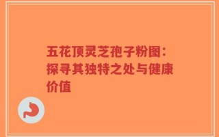 五花顶灵芝孢子粉图：探寻其独特之处与健康价值