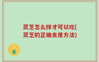 灵芝怎么样才可以吃(灵芝的正确食用方法)