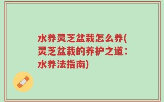 水养灵芝盆栽怎么养(灵芝盆栽的养护之道：水养法指南)