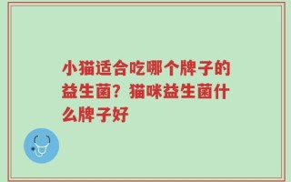 小猫适合吃哪个牌子的益生菌？猫咪益生菌什么牌子好