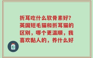 折耳吃什么软骨素好？英国短毛猫和折耳猫的区别，哪个更温顺，我喜欢黏人的，养什么好