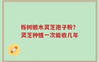 栎树椴木灵芝孢子粉？灵芝种植一次能收几年