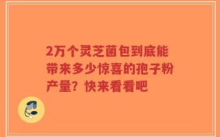 2万个灵芝菌包到底能带来多少惊喜的孢子粉产量？快来看看吧