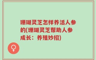 珊瑚灵芝怎样养活人参的(珊瑚灵芝帮助人参成长：养殖妙招)