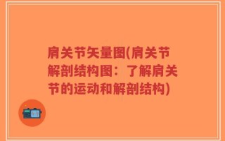肩关节矢量图(肩关节解剖结构图：了解肩关节的运动和解剖结构)