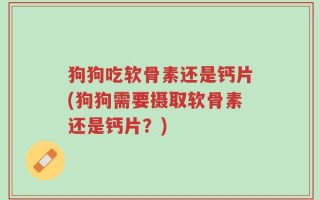 狗狗吃软骨素还是钙片(狗狗需要摄取软骨素还是钙片？)