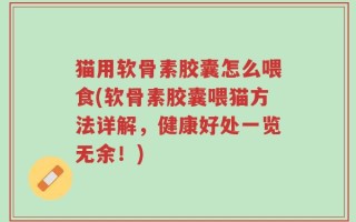 猫用软骨素胶囊怎么喂食(软骨素胶囊喂猫方法详解，健康好处一览无余！)