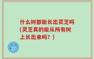 什么树都能长出灵芝吗(灵芝真的能从所有树上长出来吗？)