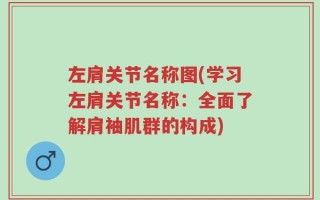 左肩关节名称图(学习左肩关节名称：全面了解肩袖肌群的构成)