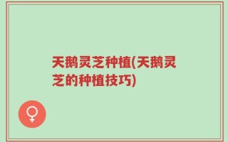 天鹅灵芝种植(天鹅灵芝的种植技巧)