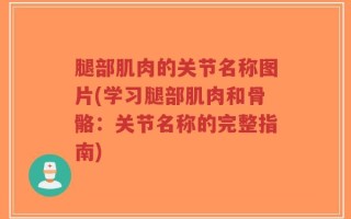 腿部肌肉的关节名称图片(学习腿部肌肉和骨骼：关节名称的完整指南)