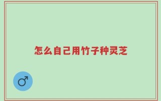 怎么自己用竹子种灵芝