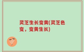 灵芝生长变黄(灵芝色变，变黄生长)