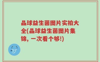 晶球益生菌图片实拍大全(晶球益生菌图片集锦, 一次看个够!)