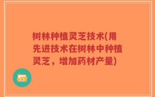 树林种植灵芝技术(用先进技术在树林中种植灵芝，增加药材产量)