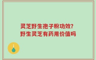 灵芝野生孢子粉功效？野生灵芝有药用价值吗