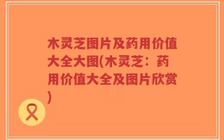 木灵芝图片及药用价值大全大图(木灵芝：药用价值大全及图片欣赏)