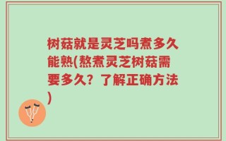 树菇就是灵芝吗煮多久能熟(熬煮灵芝树菇需要多久？了解正确方法)