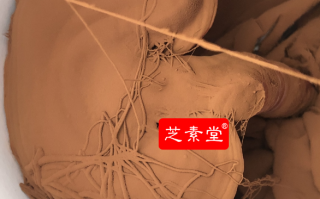 肝癌能吃破壁灵芝孢子粉吗？