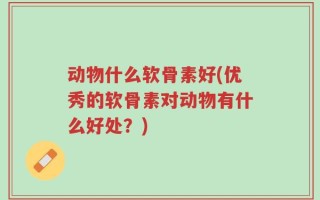 动物什么软骨素好(优秀的软骨素对动物有什么好处？)