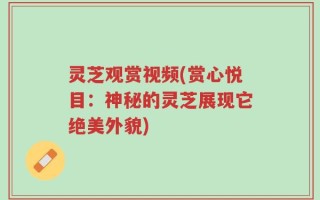 灵芝观赏视频(赏心悦目：神秘的灵芝展现它绝美外貌)