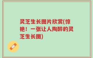 灵芝生长图片欣赏(惊艳！一张让人陶醉的灵芝生长图)