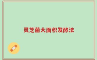 灵芝菌大面积发酵法