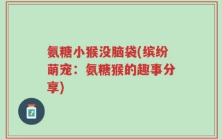 氨糖小猴没脑袋(缤纷萌宠：氨糖猴的趣事分享)