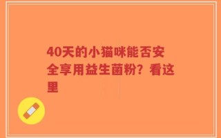 40天的小猫咪能否安全享用益生菌粉？看这里