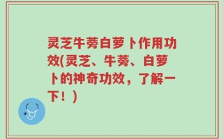 灵芝牛蒡白萝卜作用功效(灵芝、牛蒡、白萝卜的神奇功效，了解一下！)