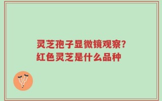 灵芝孢子显微镜观察？红色灵芝是什么品种