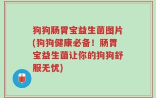 狗狗肠胃宝益生菌图片(狗狗健康必备！肠胃宝益生菌让你的狗狗舒服无忧)