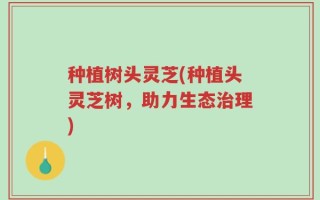 种植树头灵芝(种植头灵芝树，助力生态治理)