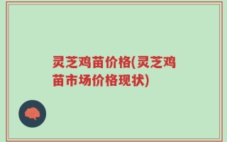 灵芝鸡苗价格(灵芝鸡苗市场价格现状)