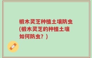 椴木灵芝种植土壤防虫(椴木灵芝的种植土壤如何防虫？)
