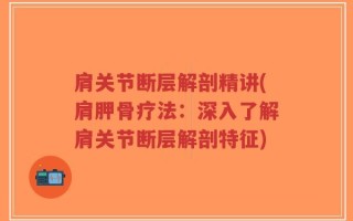 肩关节断层解剖精讲(肩胛骨疗法：深入了解肩关节断层解剖特征)