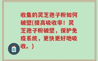 收集的灵芝孢子粉如何破壁(提高吸收率！灵芝孢子粉破壁，保护免疫系统，更快更好地吸收。)