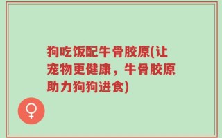 狗吃饭配牛骨胶原(让宠物更健康，牛骨胶原助力狗狗进食)