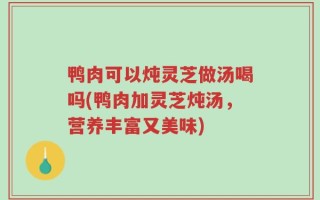 鸭肉可以炖灵芝做汤喝吗(鸭肉加灵芝炖汤，营养丰富又美味)