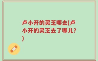 卢小开的灵芝哪去(卢小开的灵芝去了哪儿？)