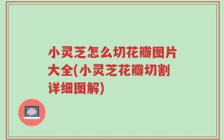 小灵芝怎么切花瓣图片大全(小灵芝花瓣切割详细图解)