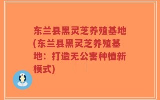 东兰县黑灵芝养殖基地(东兰县黑灵芝养殖基地：打造无公害种植新模式)