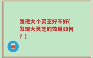 发现大个灵芝好不好(发现大灵芝的效果如何？)