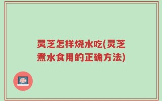 灵芝怎样烧水吃(灵芝煮水食用的正确方法)