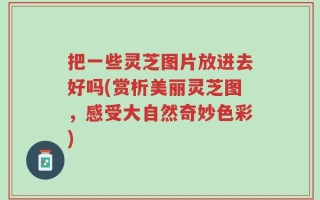 把一些灵芝图片放进去好吗(赏析美丽灵芝图，感受大自然奇妙色彩)