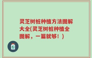 灵芝树桩种植方法图解大全(灵芝树桩种植全图解，一篇就够！)