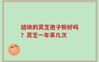 结块的灵芝孢子粉好吗？灵芝一年采几次