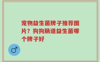 宠物益生菌牌子推荐图片？狗狗肠道益生菌哪个牌子好