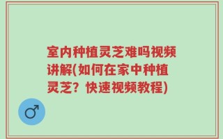 室内种植灵芝难吗视频讲解(如何在家中种植灵芝？快速视频教程)